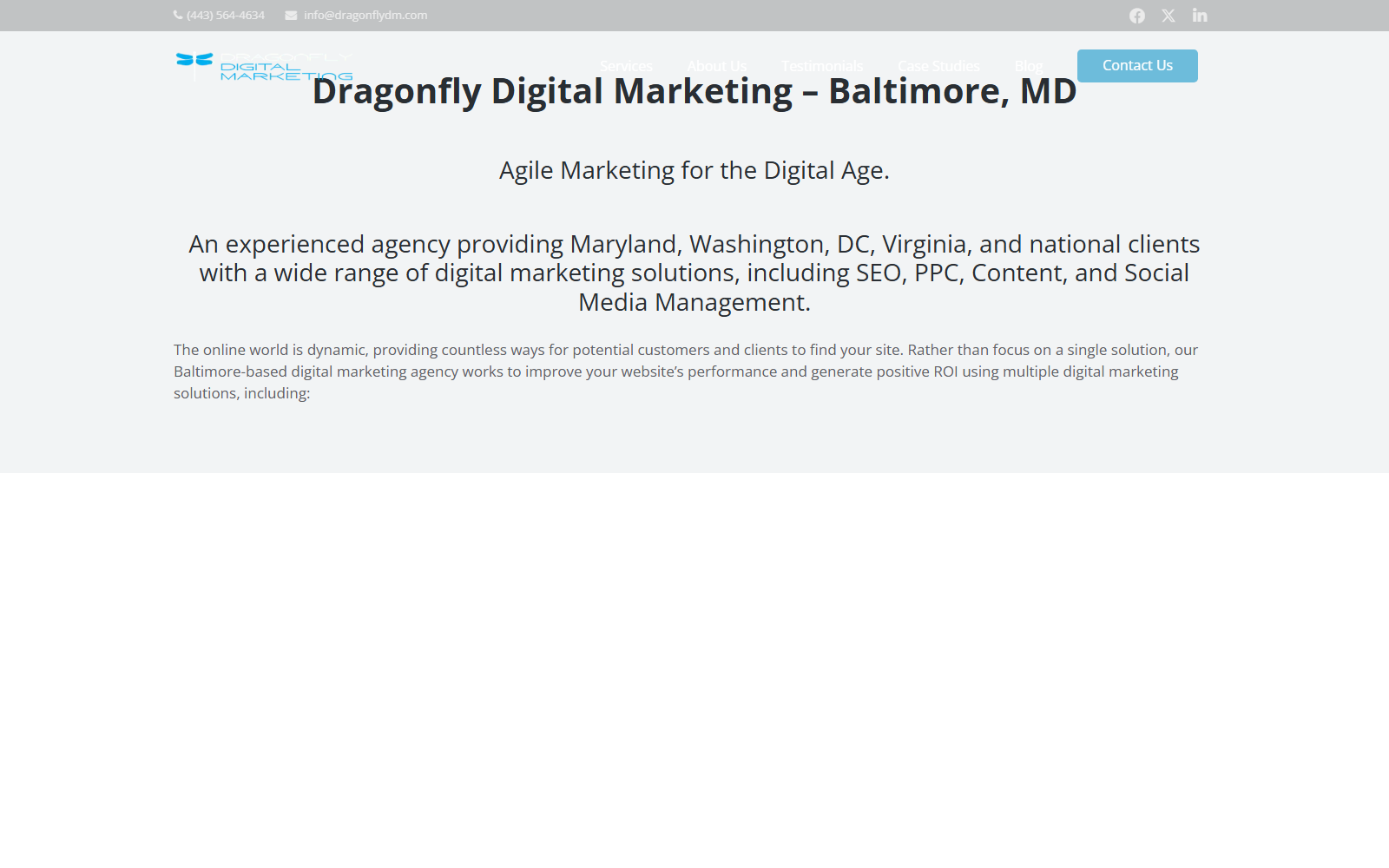 Dragonfly Digital Marketing official website homepage